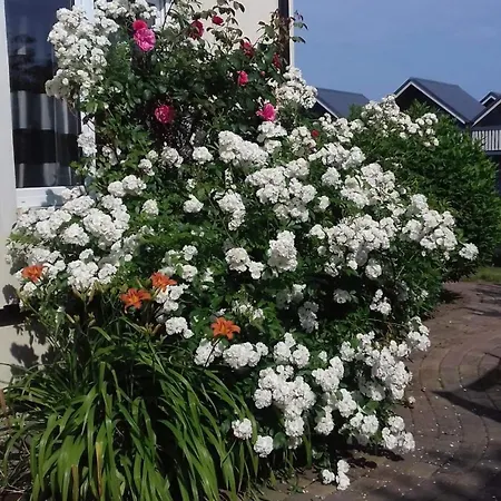 Appartement Brooklyn 2 Pokojowy Z Prywatnym Polem Do Gry W Mini Golf *