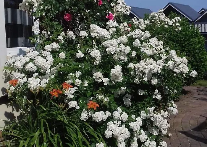 Apartamento Brooklyn 2 Pokojowy Z Prywatnym Polem Do Gry W Mini Golf *